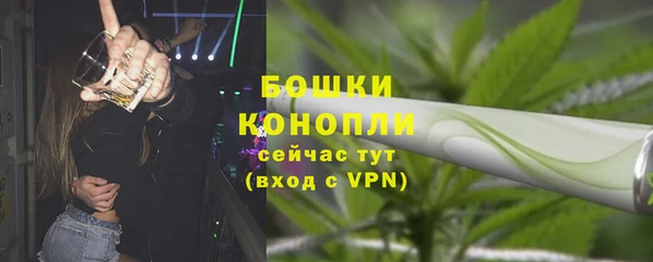 молекула духа Касимов