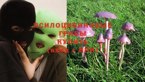 гашиш Каменка